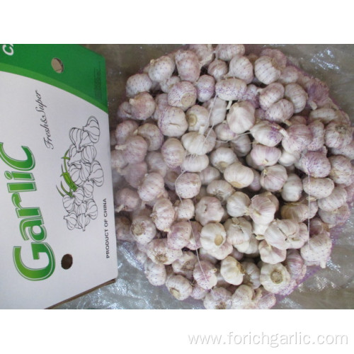 Fresh Normal White Garlic From Jinxiang